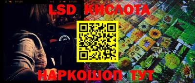 Альфа ПВП Аргун