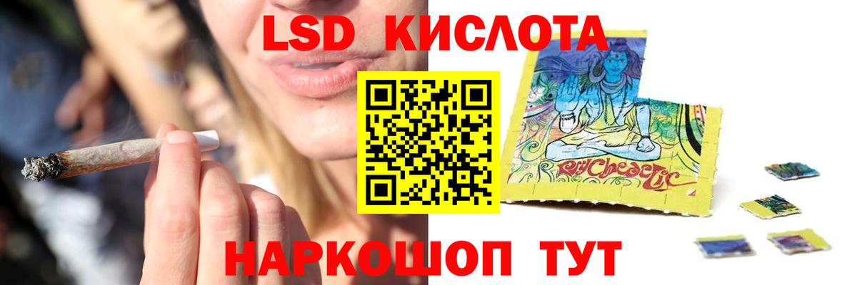  COCAIN Будённовск