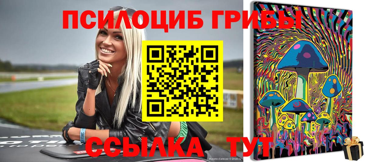 Будённовск  наркота  Вход с VPN  Галлюциногенные грибы прущие грибы  Псилоцибиновые грибы мухоморы 