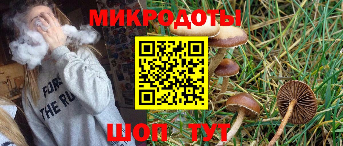 Галлюциногенные грибы Psilocybine cubensis Будённовск